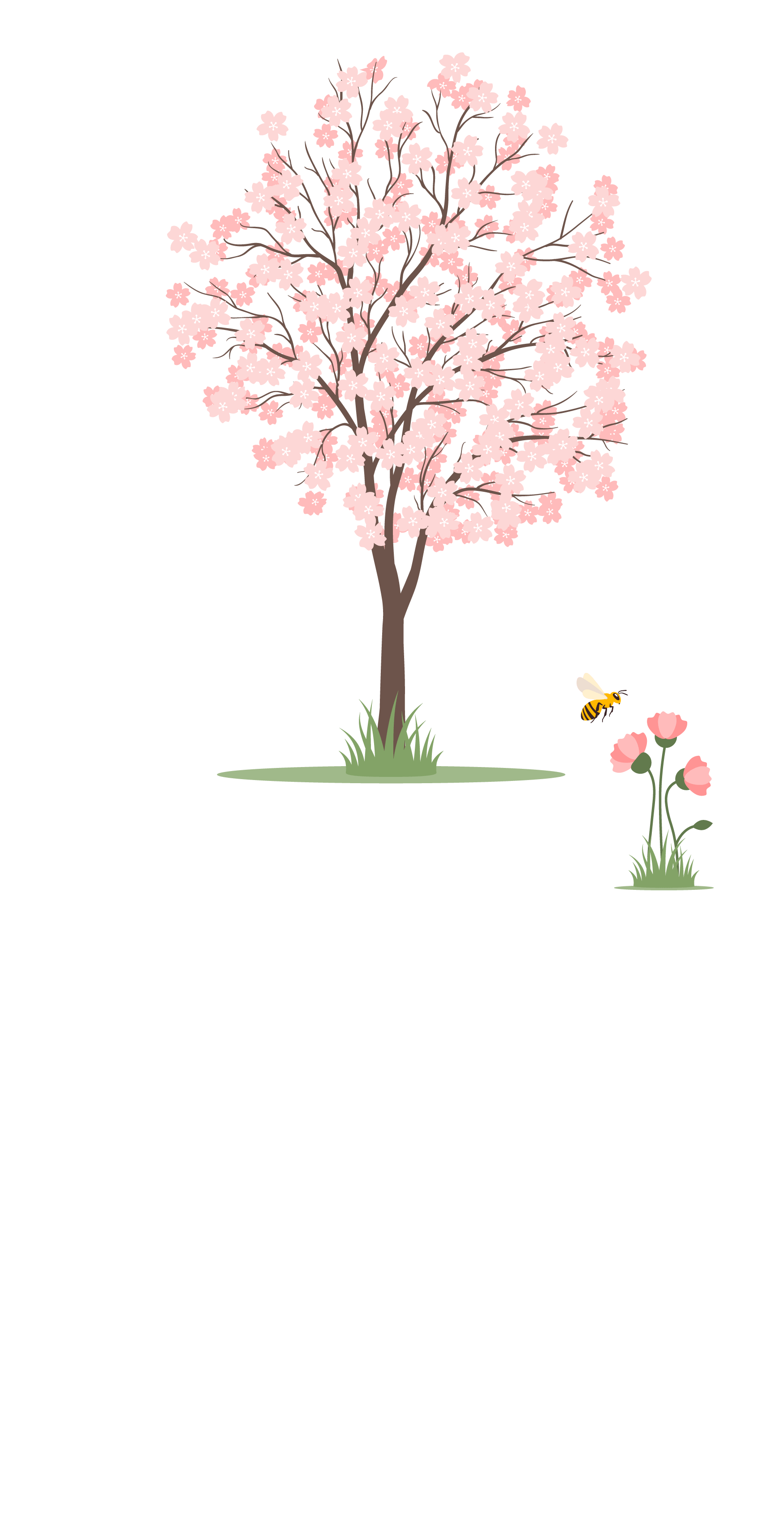 Ofte stilte spørsmål